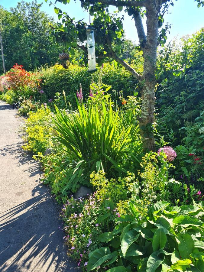 Topsy-turvy, Gardeners Cottage, Clungunford, Ludlow, Shropshire Sy70pn Apartment *